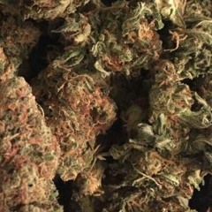 Presco Lucci Got Sum Hoes, Bruh - $ellin Dope (Soulja Boy, Lil B Type Beat)