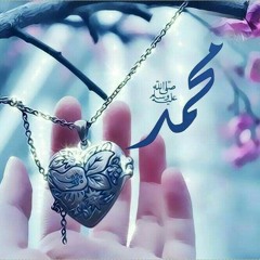 صلَّى عليكَ الله يآ هادِياً لله . . ❤