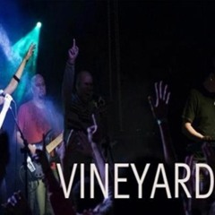 Vineyard - Tu és Bom