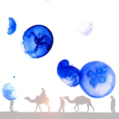 Camels in the sky