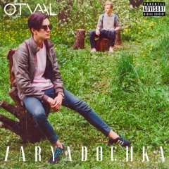 Безопасность (VIP)