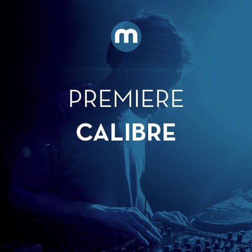 Premiere: Calibre 'Under Bars'