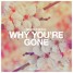 Why You're Gone (Original Mix)