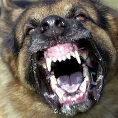 Droc   Wildin (Zippa Byouka) (ILLMIX)