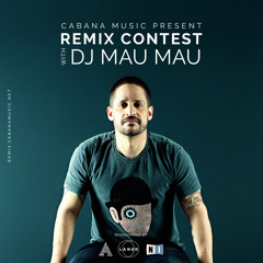 DJ Mau Mau - Metrópole (REMIX CONTEST)