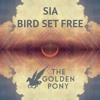 Sia Bird Set Free The Golden Pony Remix Mp3