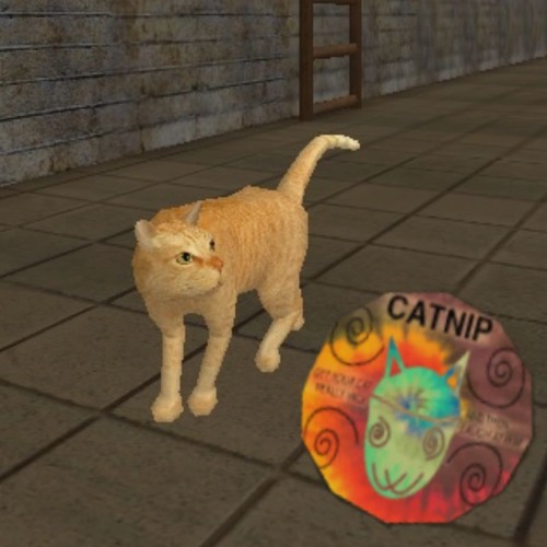 Postal кошка
66