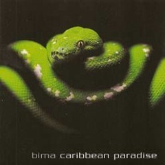 BIMA: "Wintertime" (written by T. Kukulies)