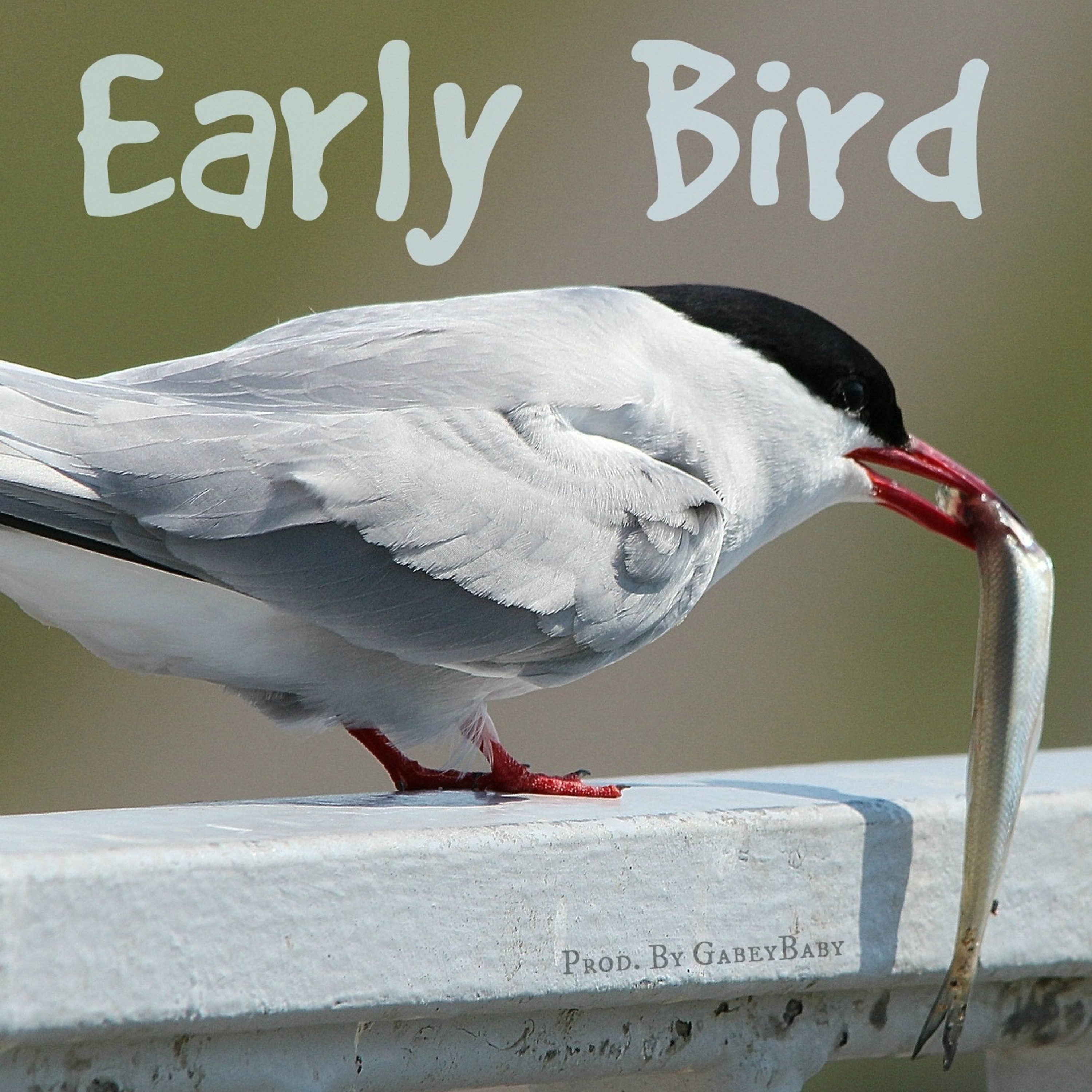 Early Bird episode artwork