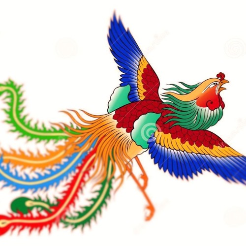 Chinese Phoenix Rising