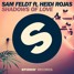 Shadows Of Love (ft. Heidi Rojas) (NDiA Remix)