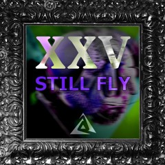 Christian ⚔️ (XXV) - Still Fly