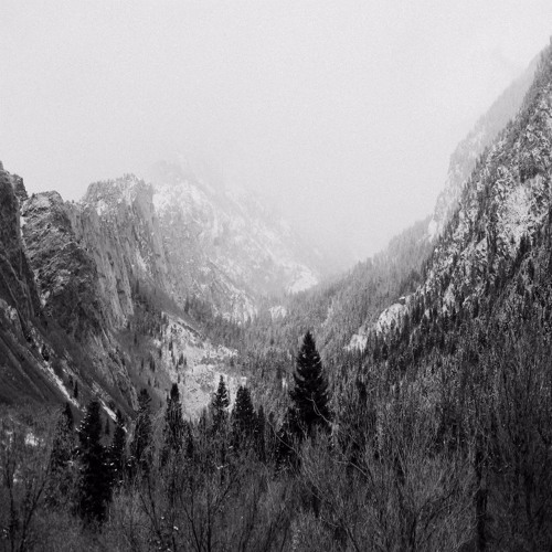 Michael HaZe - There's nothing to go back to