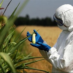 یک خانه، یک زمین۱۰۲؛ چقدر درباره محصولات تراریخته به ما اطلاع‌رسانی می‌شود؟