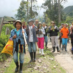 Cosecha Sonora Llamado De La Montana 2015 - 1