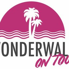 WonderWall Of Techno @ Joseli - TO REMIX