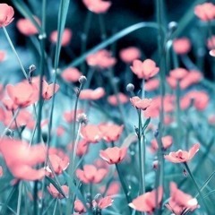 †ě∆ – WE WILL NEVER DIE