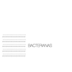 Bacterianas 02