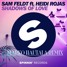 Shadows Of Love (ft. Heidi Rojas) (Marko Hautala Remix)