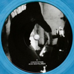 Acid Wastelands - Audio Riots 03