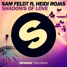 Shadows Of Love (ft. Heidi Rojas)