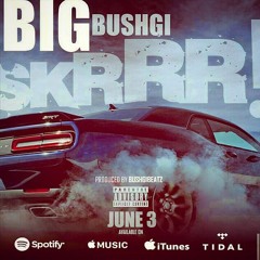 BIG BUSHGI - SKRRR
