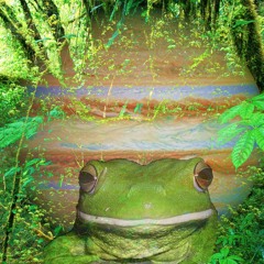 Jupiter Jungle Part 2