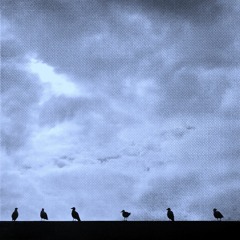 Sprachlos  (ᚳ)