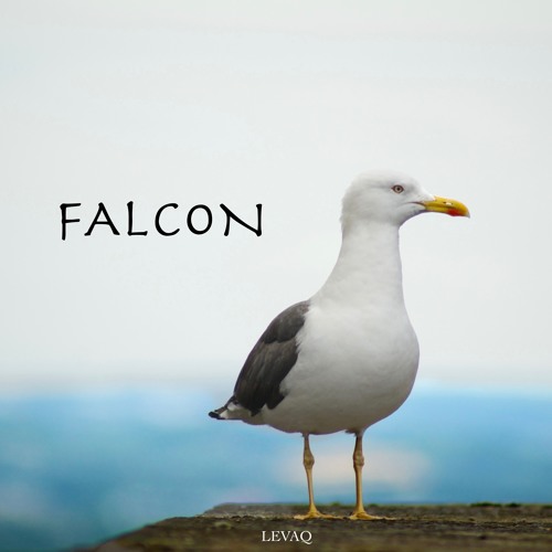 Levaq // Falcon (Radio Edit)