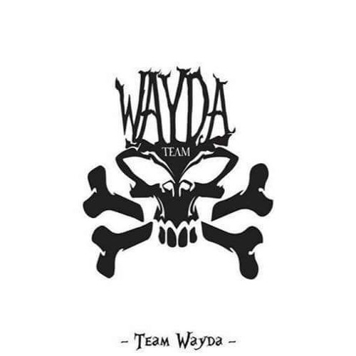 Wayda MiXxX - Logiboy $hatta