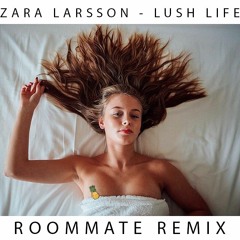 ZARA LARSSON - LUSH LIFE (ROOMMATE REMIX)
