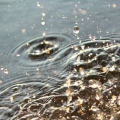 There's Something About That Name