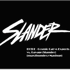 EH!DE - Cosmic Cat Vs Experts Vs. Ravage (Slander)(maxthunderz Mashup)