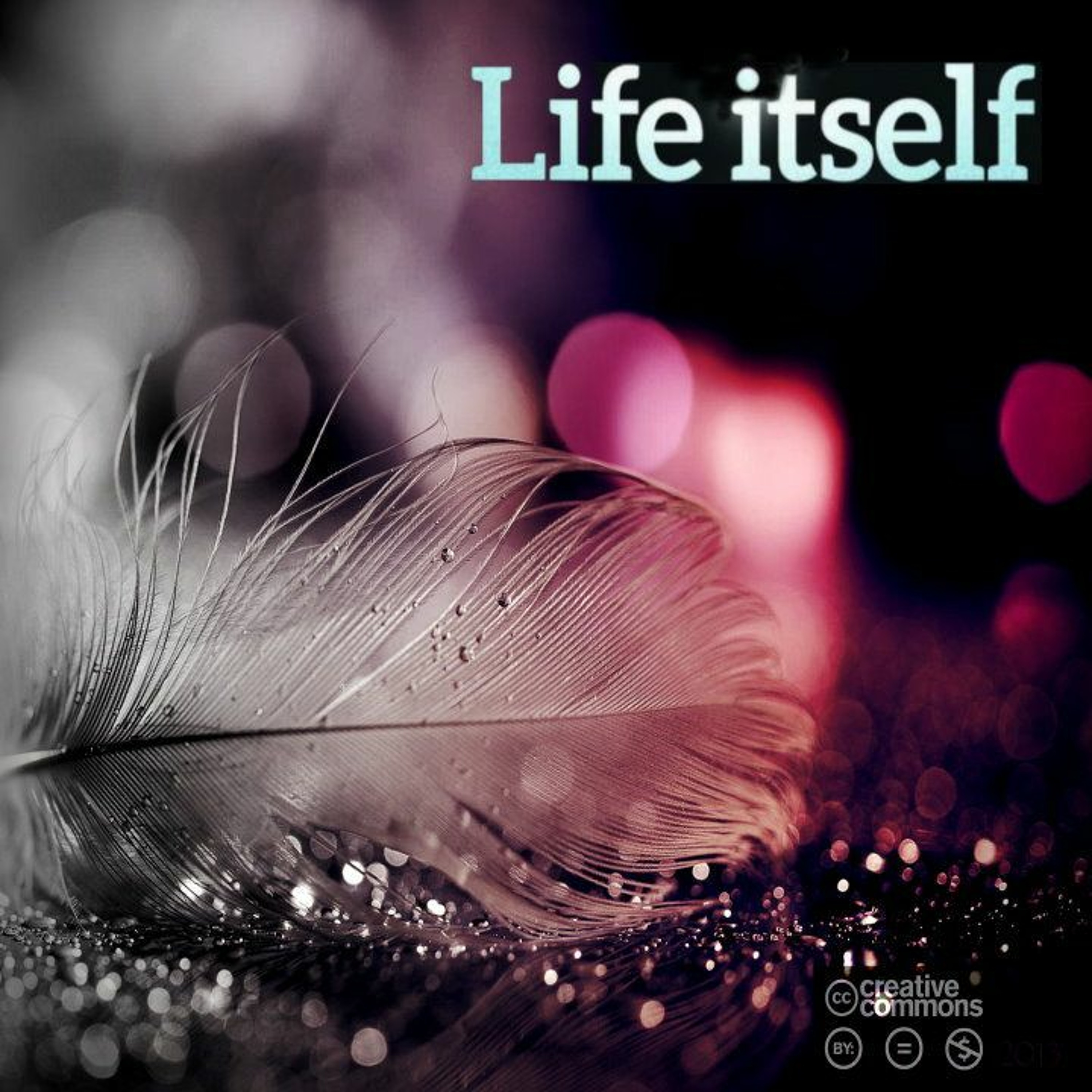 Life Itself (Jorisma & Trini Lopez)