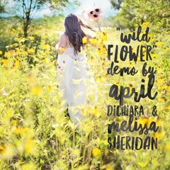 Wildflower NEW DEMO! By: Melissa Sheridan & April DiChiara