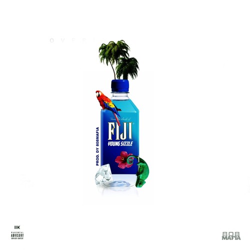 Young Sizzle - Fiji (Prod. By DY 808Mafia)