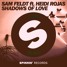 Shadows Of Love (ft. Heidi Rojas) (crnc Remix)