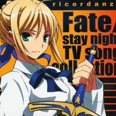 きらめく涙は星に (タイナカサチ) Fate/stay night