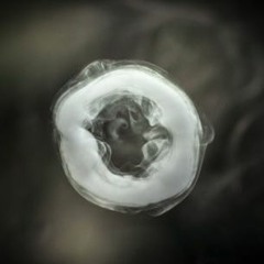 Jules et Murph - Grosse Puff