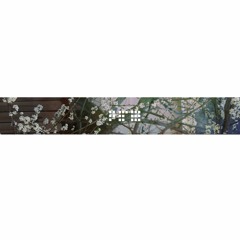 Ian Ewing - Rooftops x Medasin - Microdose Vol. 2 (fsn's wip edit)