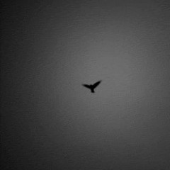 Long Live Anthony Perez