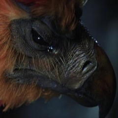 Rise Of The Phoenix Instrumental