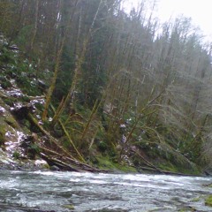 Height (prod. Pace Moccasin)