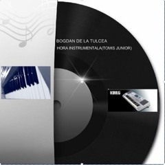 BOGDAN DE LA TULCEA - HORA INSTRUMENTALA(TOMIS JUNIOR)