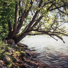 Eu Vou Escutar - River Sessions