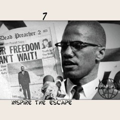 Shroom Trip With A Shaman