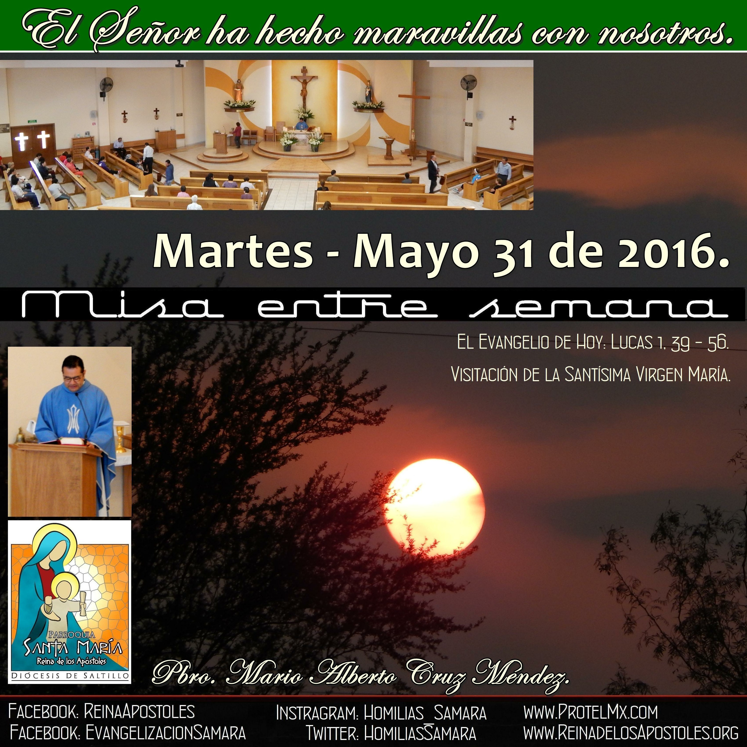 SAMARA_Saltillo #2019