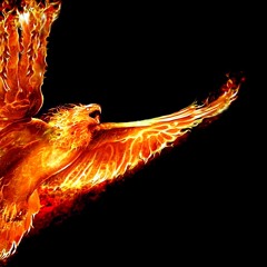 Firebird [Jakky X Nath Jennings Bootleg] - Galantis *FREE DL*