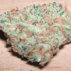 The Kush Effect (O.Z. X A.C.E. X Grewsum)