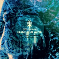 Head Full Of Water